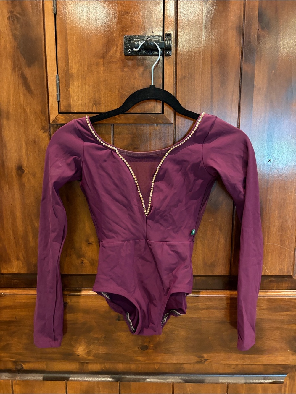💎 LuckyLeo Long Sleeve Plum Leotard with Custom AB Rhinestone Trim